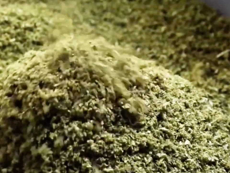Ground cannabis flower